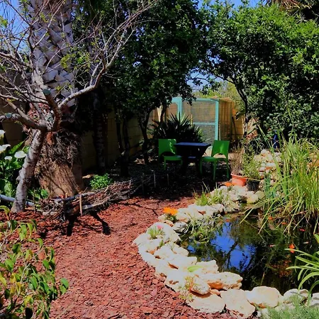 Solaris Adults Only Bed & Breakfast *